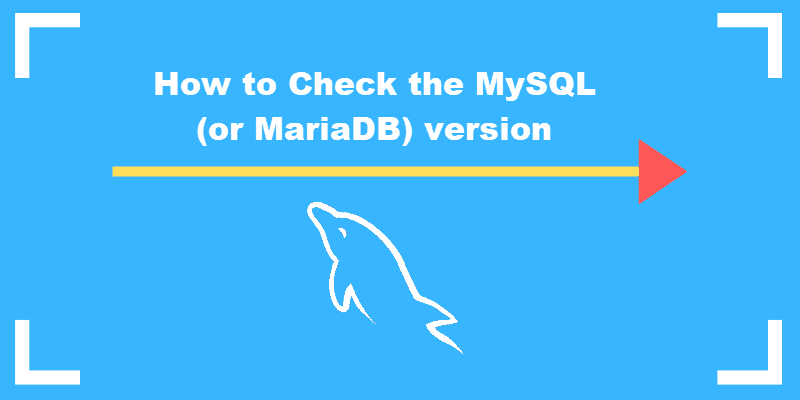 Commands to use in order to check MySQL vesion.