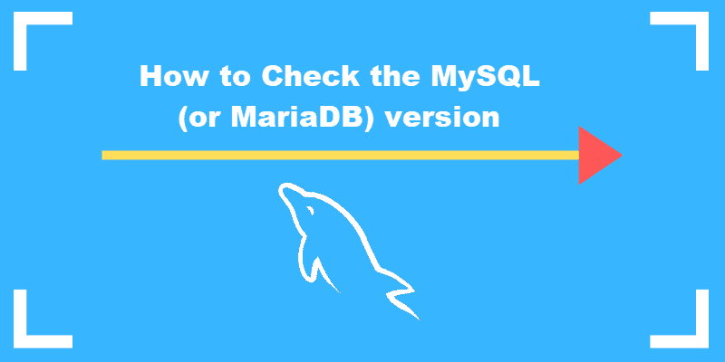 how-to-find-mysql-version-in-linux-using-the-cli-nixcraft