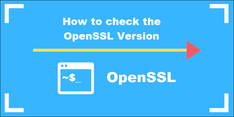 How To Check Or Find The Openssl Version {Easy Way}