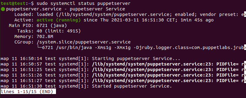 Check the status of the puppetserver service