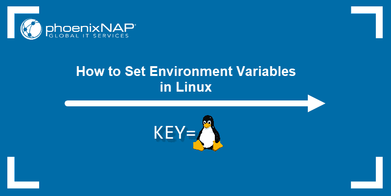 Setting The Environment Variable In Linux