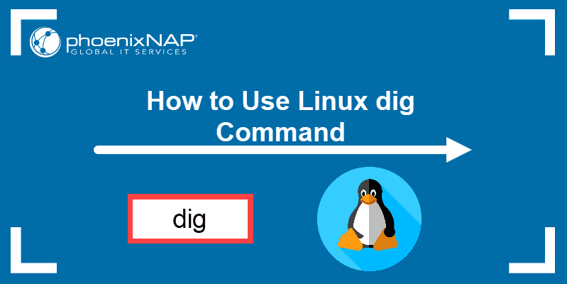 How to use Linux dig command.