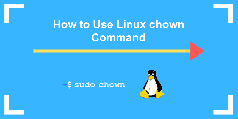 How to Use the chown Command on Linux