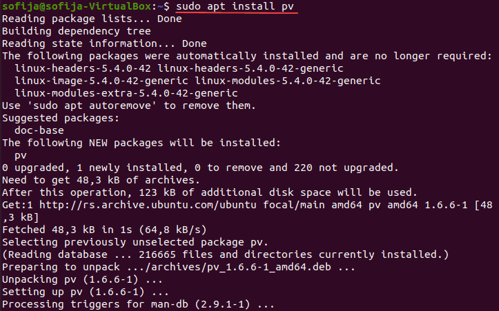 Install pv on Ubuntu.
