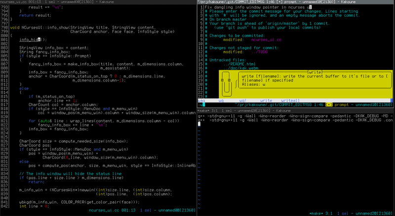 most popular text editors coding