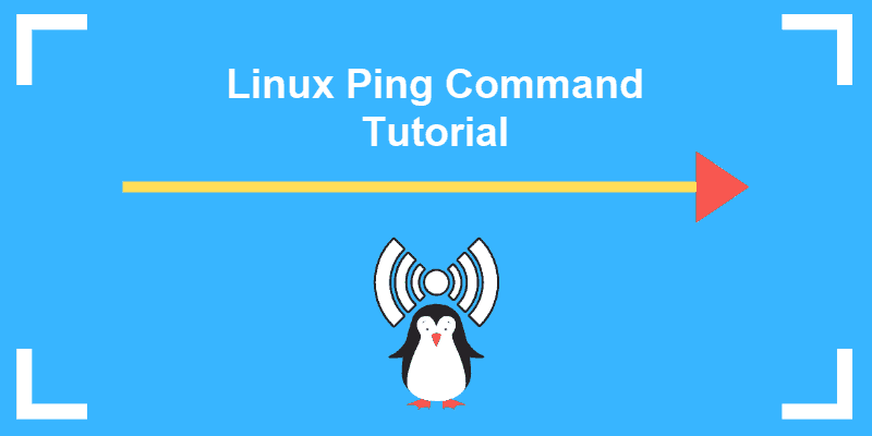 linux ping command tutorial
