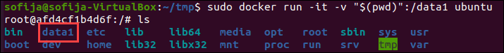 Mount host directory to container.