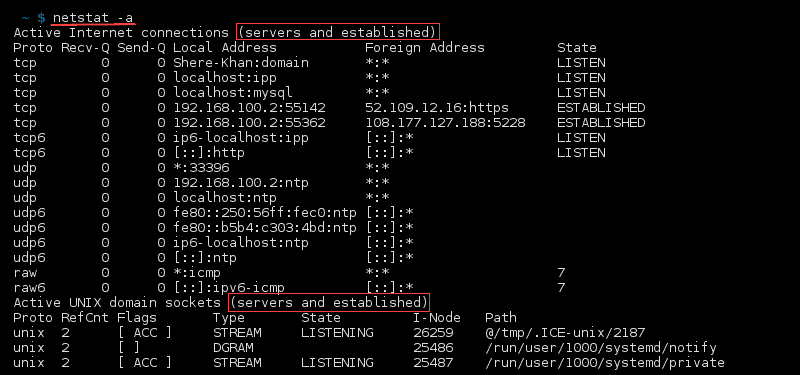 Terminal output of the command netstat -a