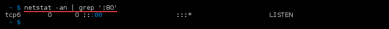 Terminal output of the command netstat -an | grep