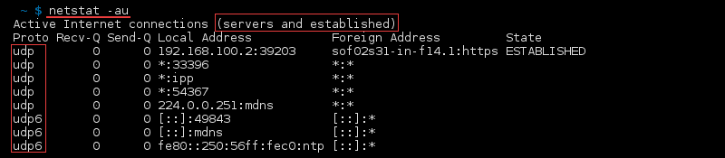 Terminal output of the command netstat -au