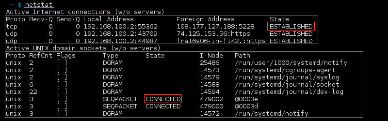 Terminal output of the netstat