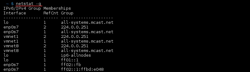 Terminal output of the command netstat -g