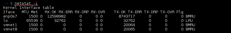 Terminal output of the command netstat -i