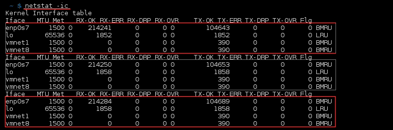 Terminal output of the command netstat -ic