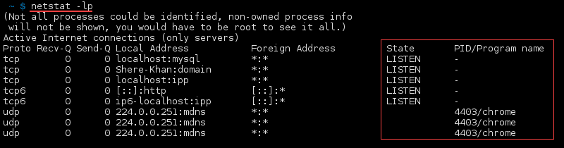 Terminal output of the command netstat -lp