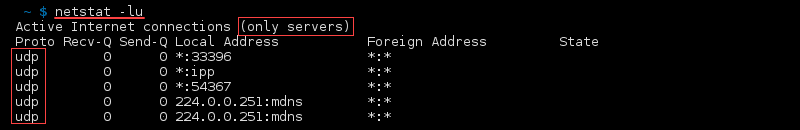 Terminal output of the command netstat -lu