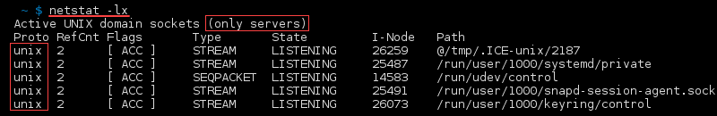 Terminal output of the command netstat -lx