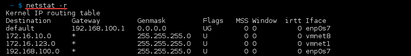 Terminal output of the command netstat -r