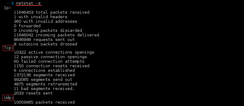 Terminal output of the command netstat -s