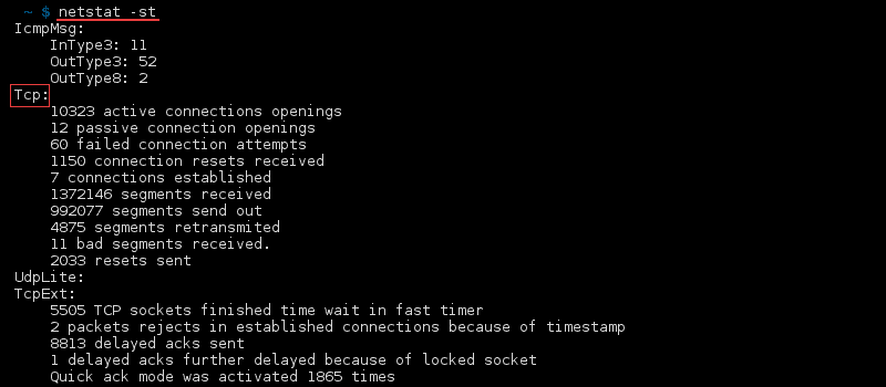 Terminal output of the command netstat -st