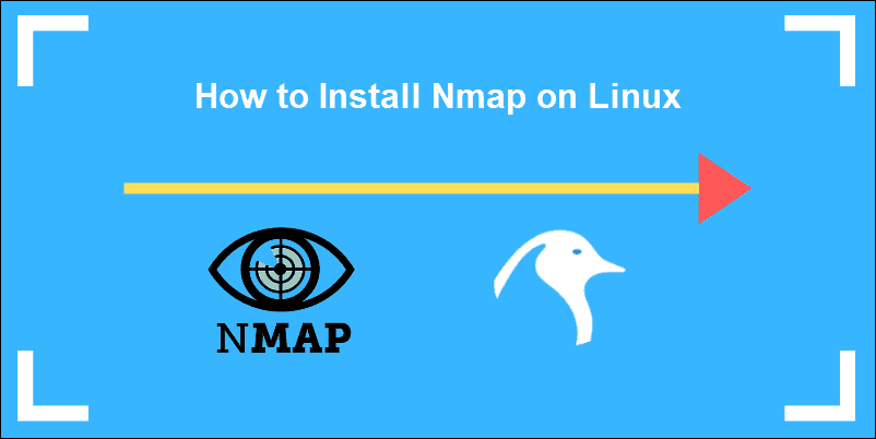 how-to-install-use-nmap-security-scanner-on-linux