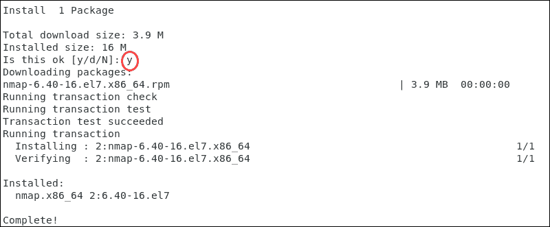 Confirming the installation of Nmap by selecting y