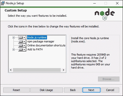 Custom Setup for Node.js