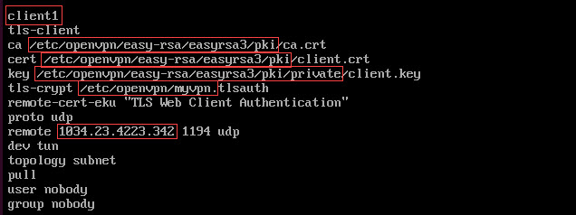 OpenVPN client configuration file.