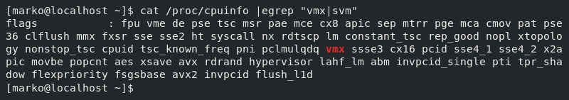 Check if your system supports hardware virtualization by searching through flags in /proc/cpuinfo