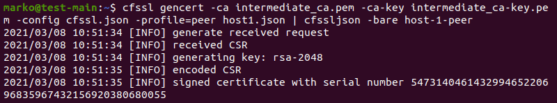 Generating a host certificate for peers using cfssl