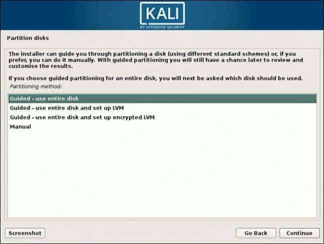 partition disk for kali virtual machine