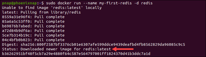 System retrieves latest Redis version for Docker deployment.