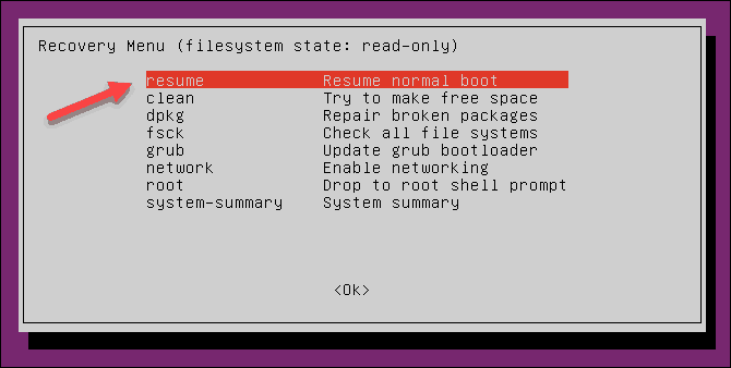 Resume option selected when the tool finishes checking a root partition.