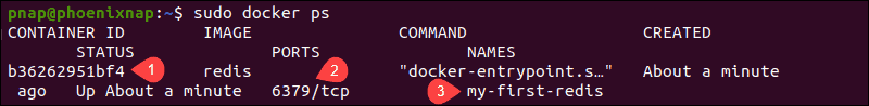 Check status of Redis container with docker ps command.