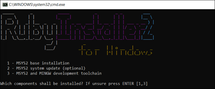 Completing Ruby installation for Windows.