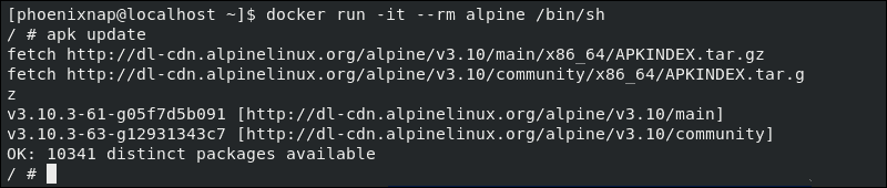 Alpine container successfully run on CentOS 8 docker installation.