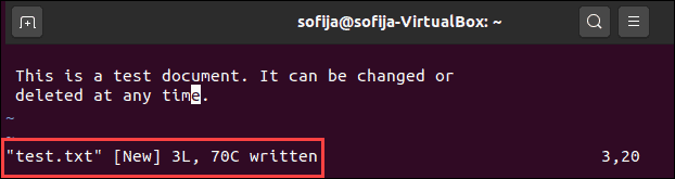 Save a file in Vim.