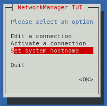 Set a system hostname in the Network Manager.