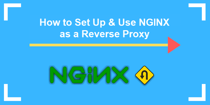set up and use nginx as a reverse proxy