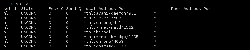 Terminal output of the command ss -a command
