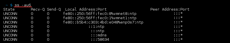 Terminal output of the command ss -au6