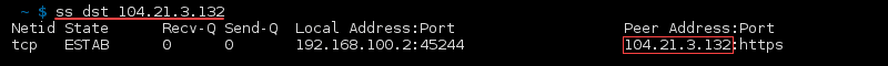 Terminal output of the command ss dst address