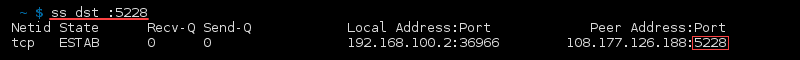 Terminal output of the command ss dst port number
