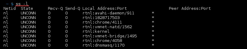 Terminal output of the command ss -l