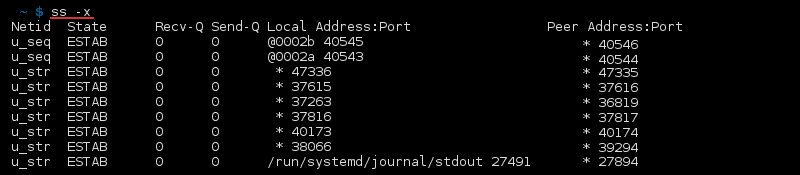 Terminal output of the command ss -x