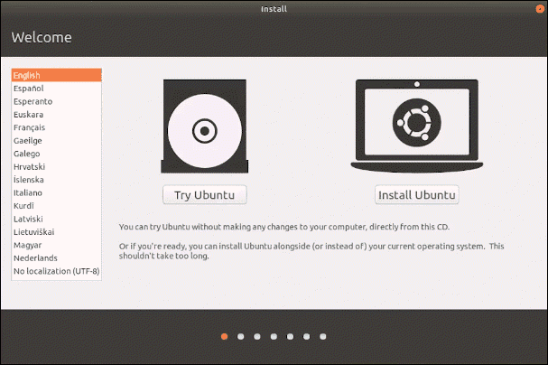 Decide to try Ubuntu or Install straight away.