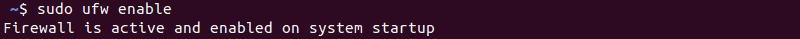screenshot of code after enabling the firewall in Ubuntu