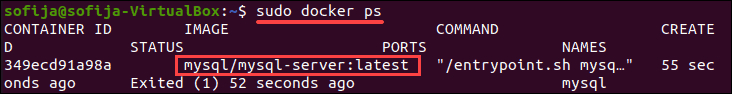 Updated Docker container.