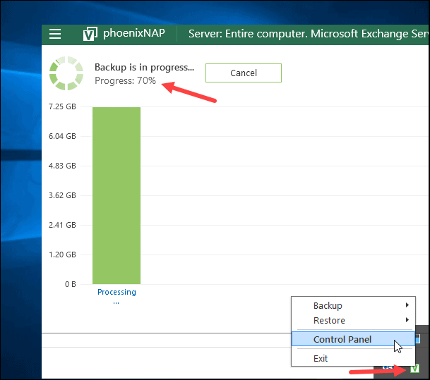 Veeam agent control panel progress in Windows