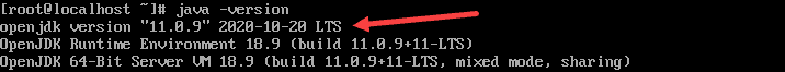 Verify Java installation on CentOS.